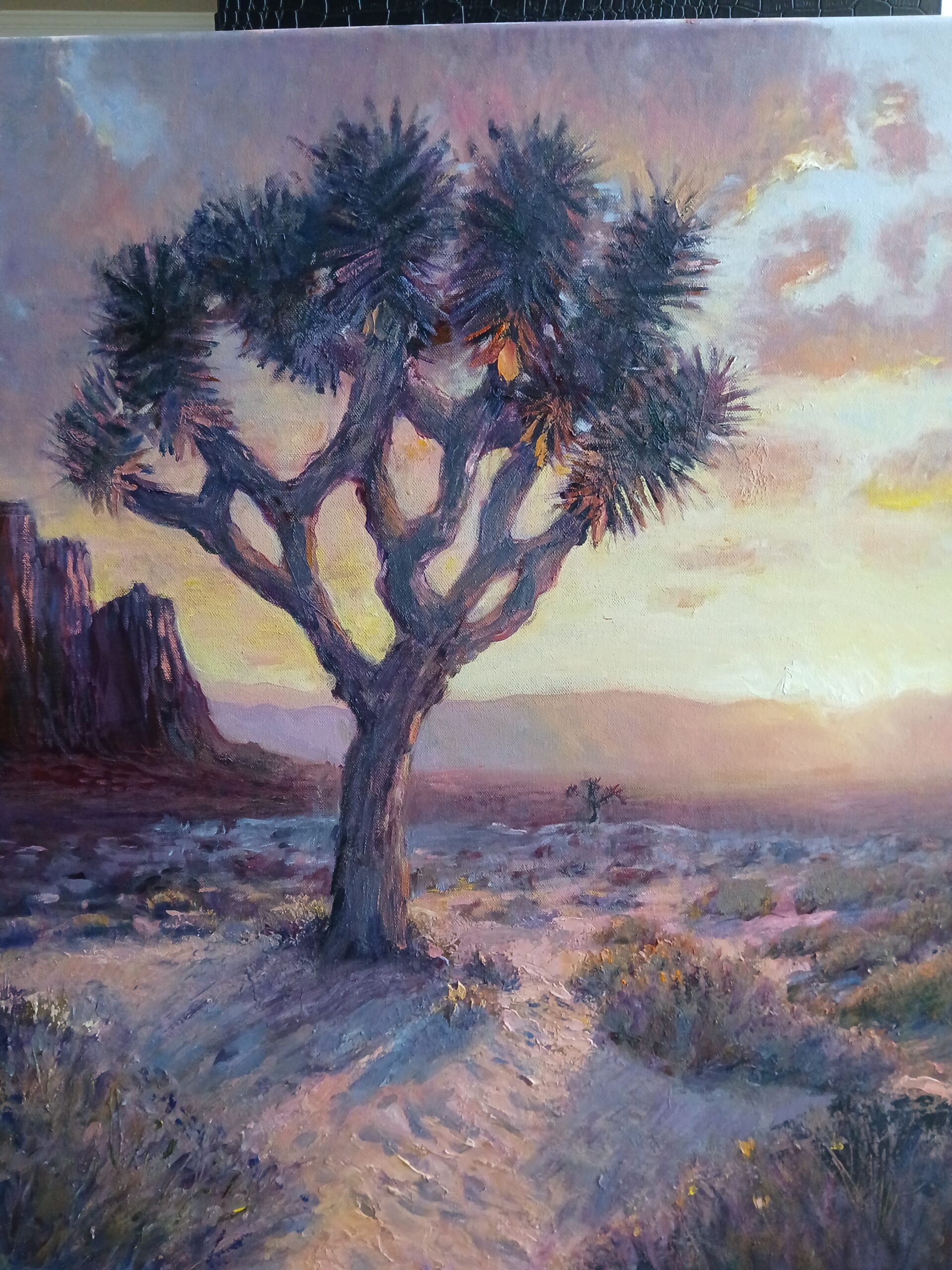 Joshuia Tree